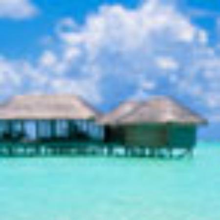 Les Jardins de Villa Maroc